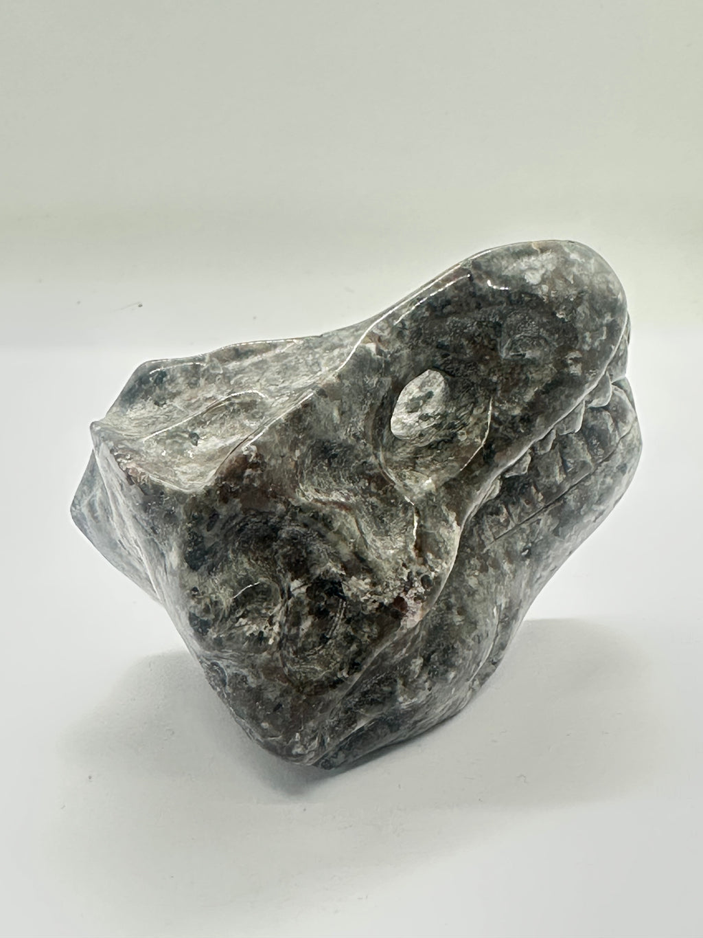 Yooperlite Dinosaur Head Carving – 415g