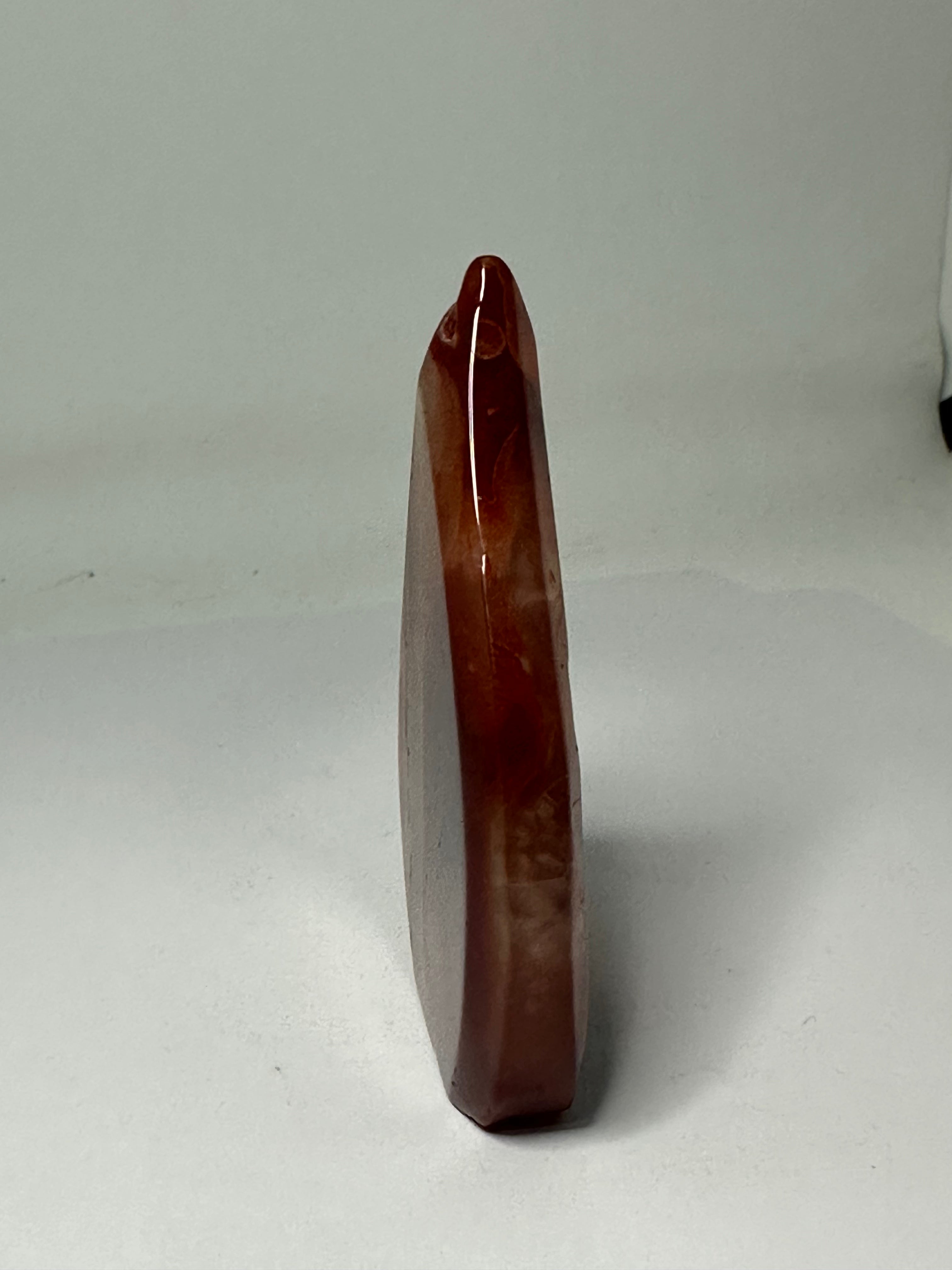 Carnelian Freeform – 98g