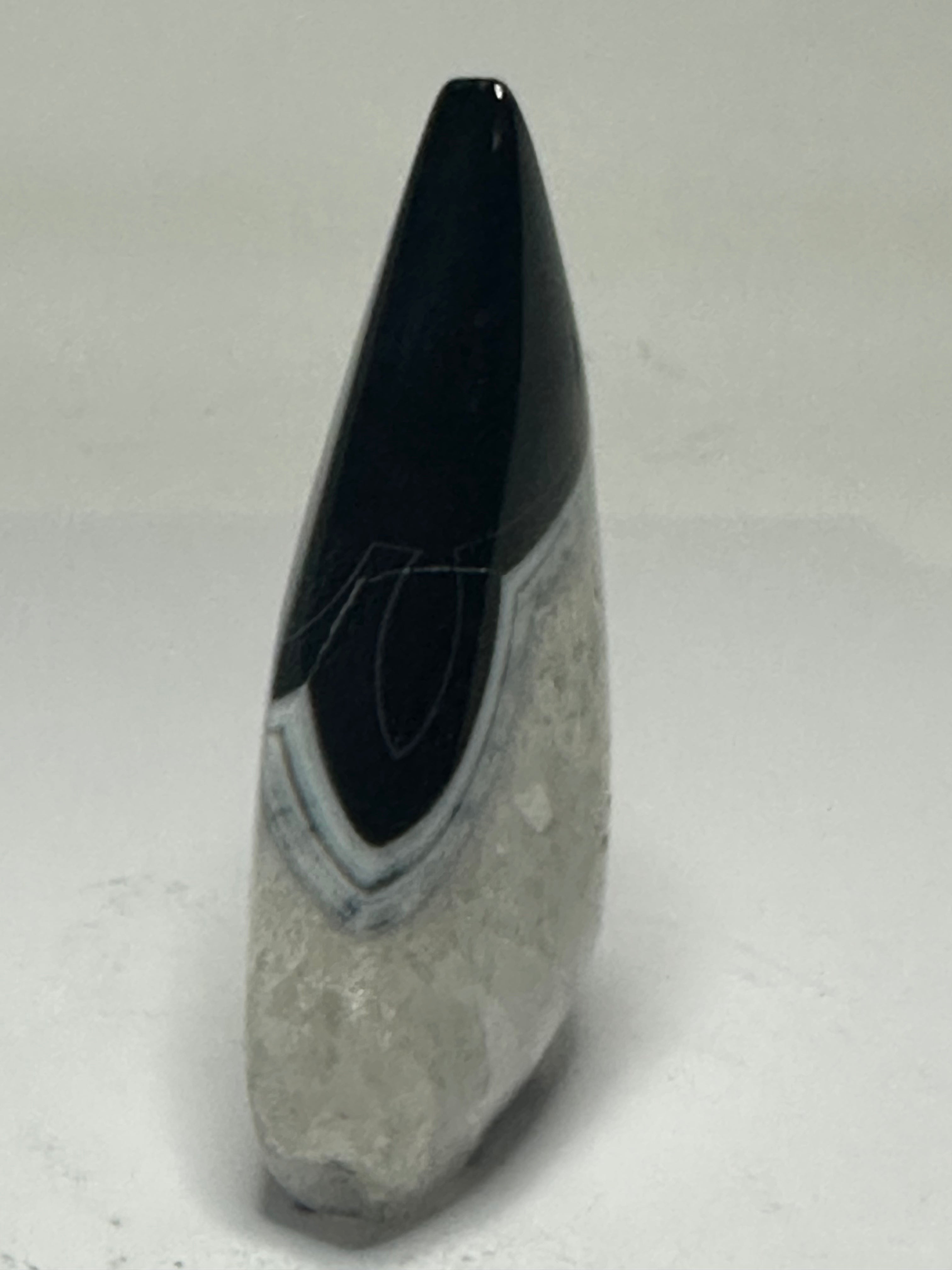Black Agate Freeform – 137g