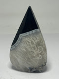 Black Agate Freeform – 137g