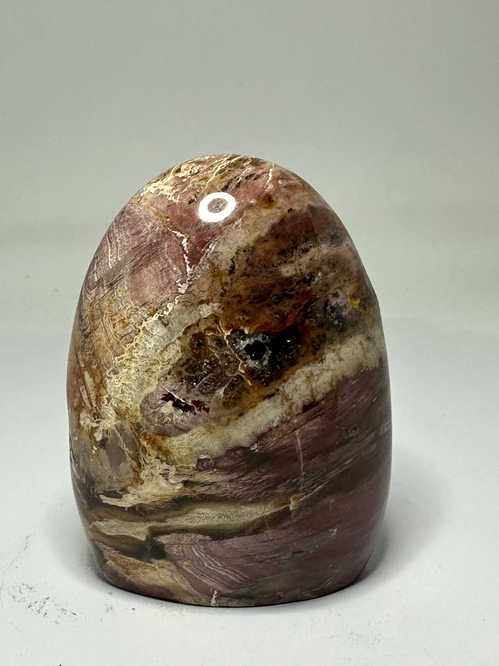 Petrified Wood Freeform – 345g