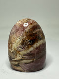 Petrified Wood Freeform – 345g