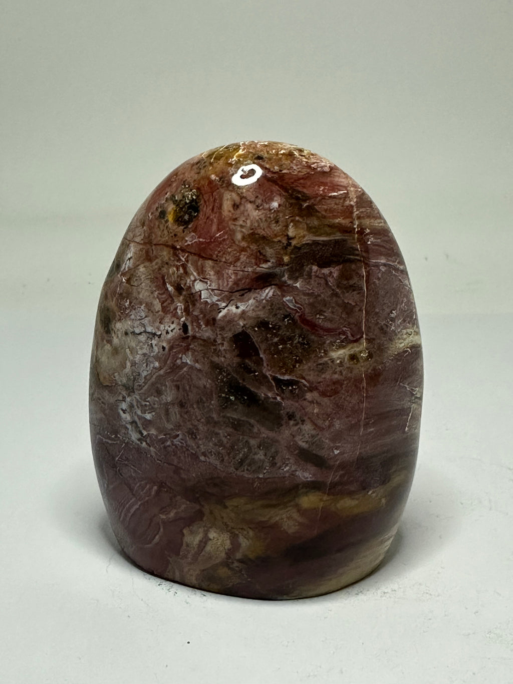 Petrified Wood Freeform – 345g