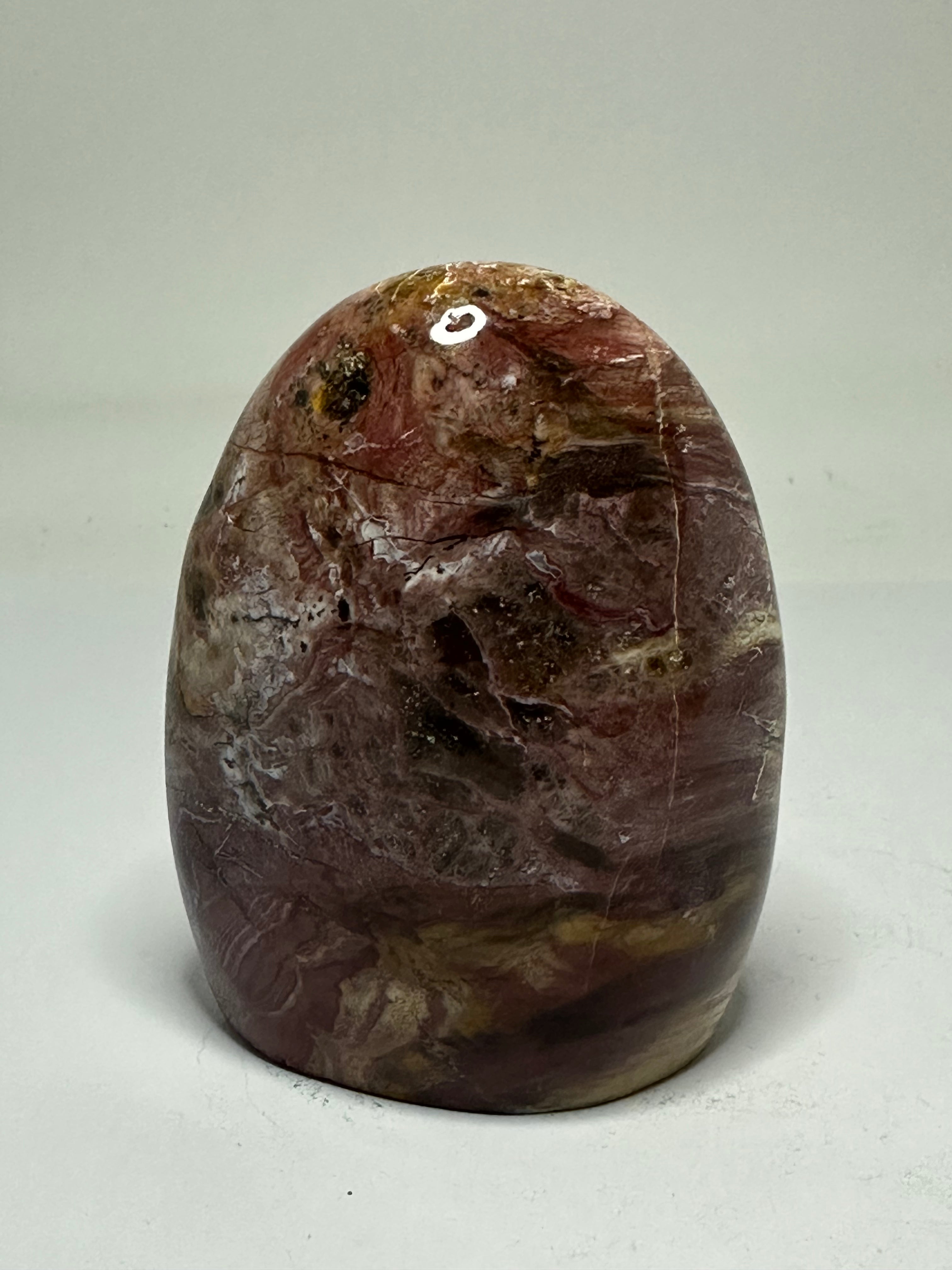 Petrified Wood Freeform – 345g