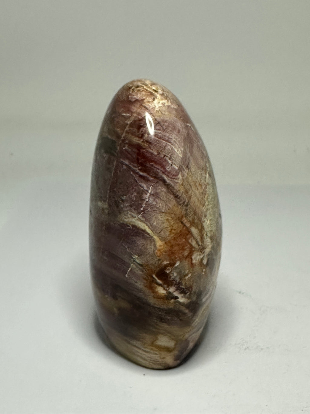 Petrified Wood Freeform – 345g