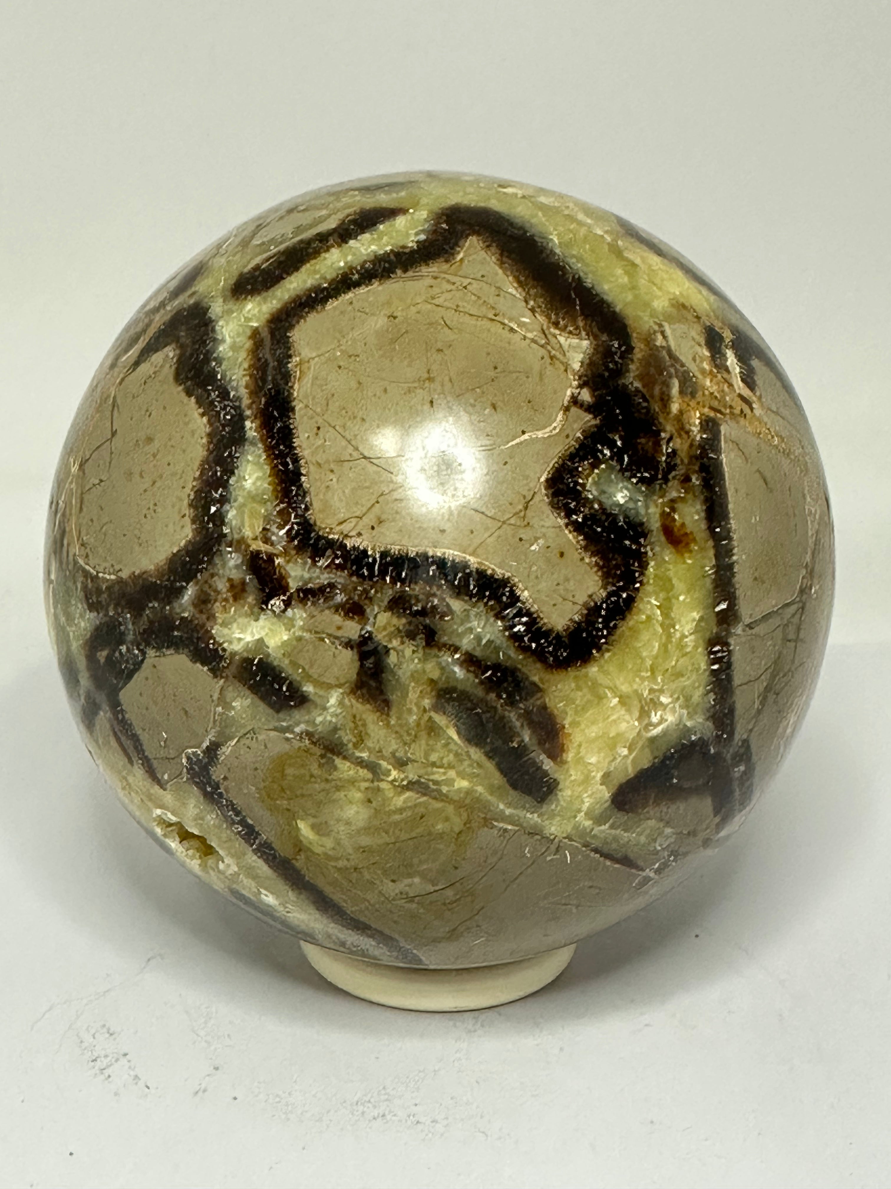 Septarian Sphere – 1.65kg