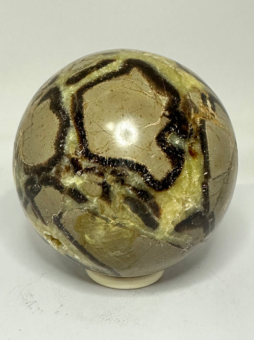 Septarian Sphere – 1.65kg