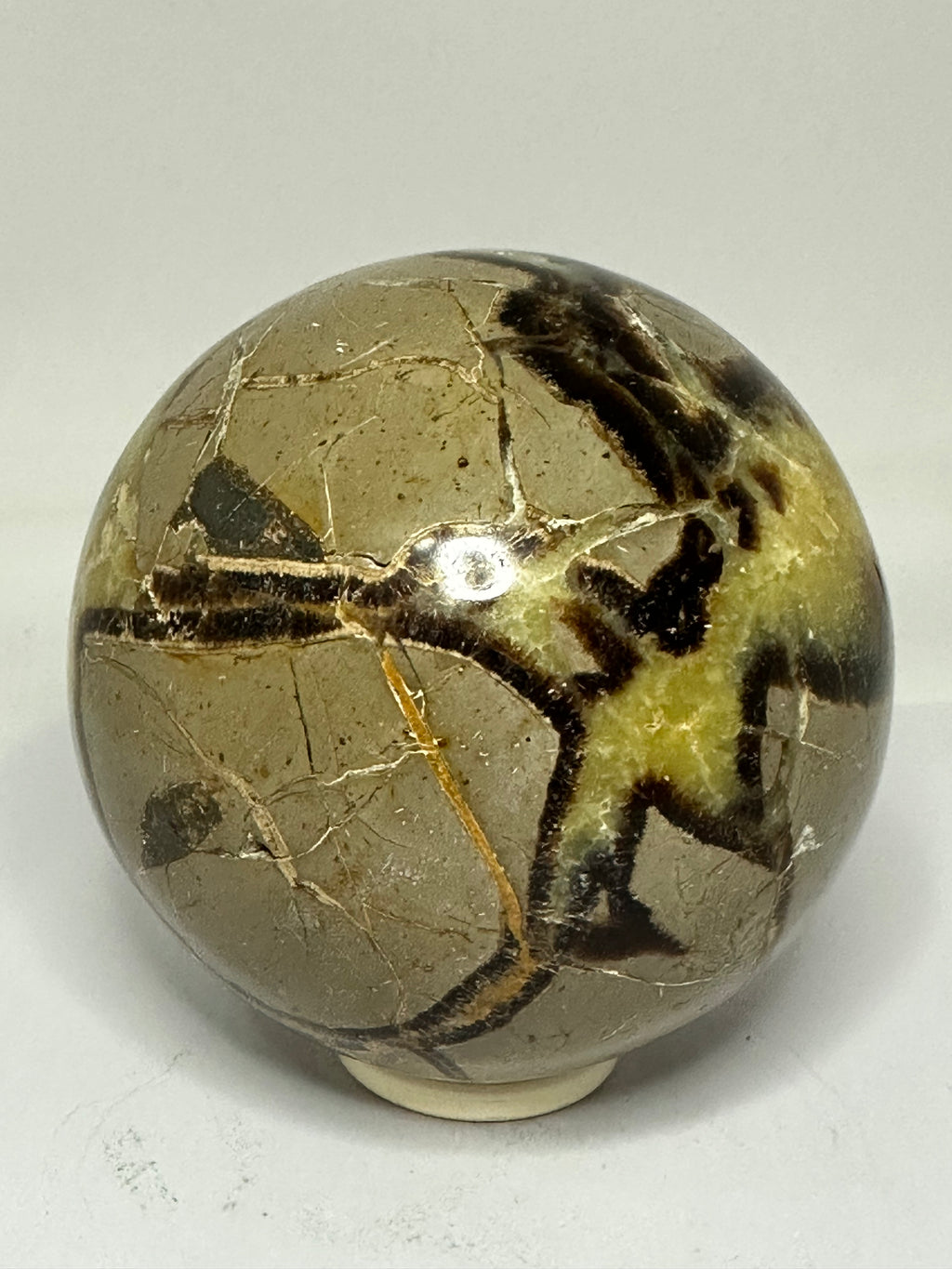 Septarian Sphere – 1.65kg