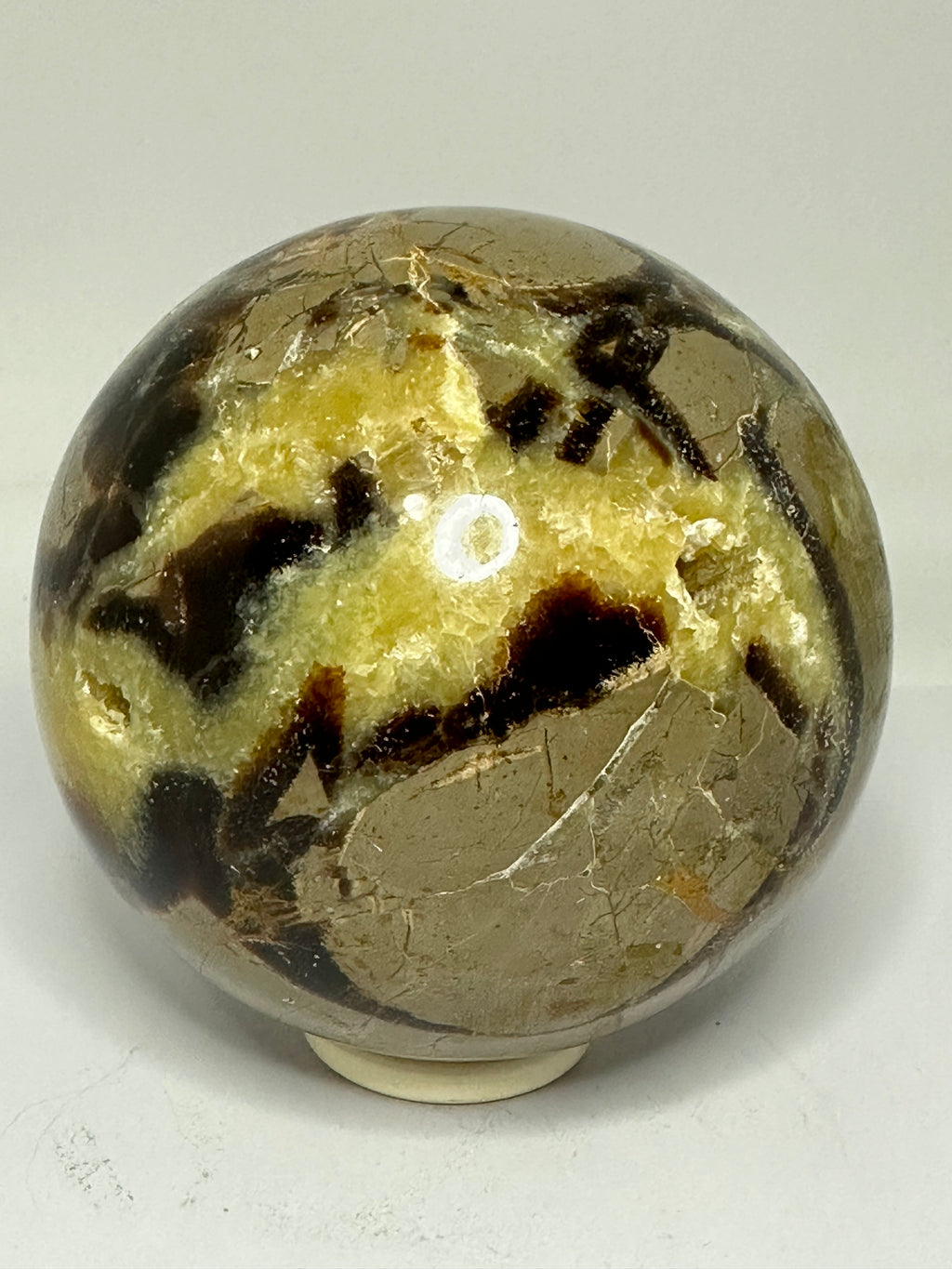 Septarian Sphere – 1.65kg