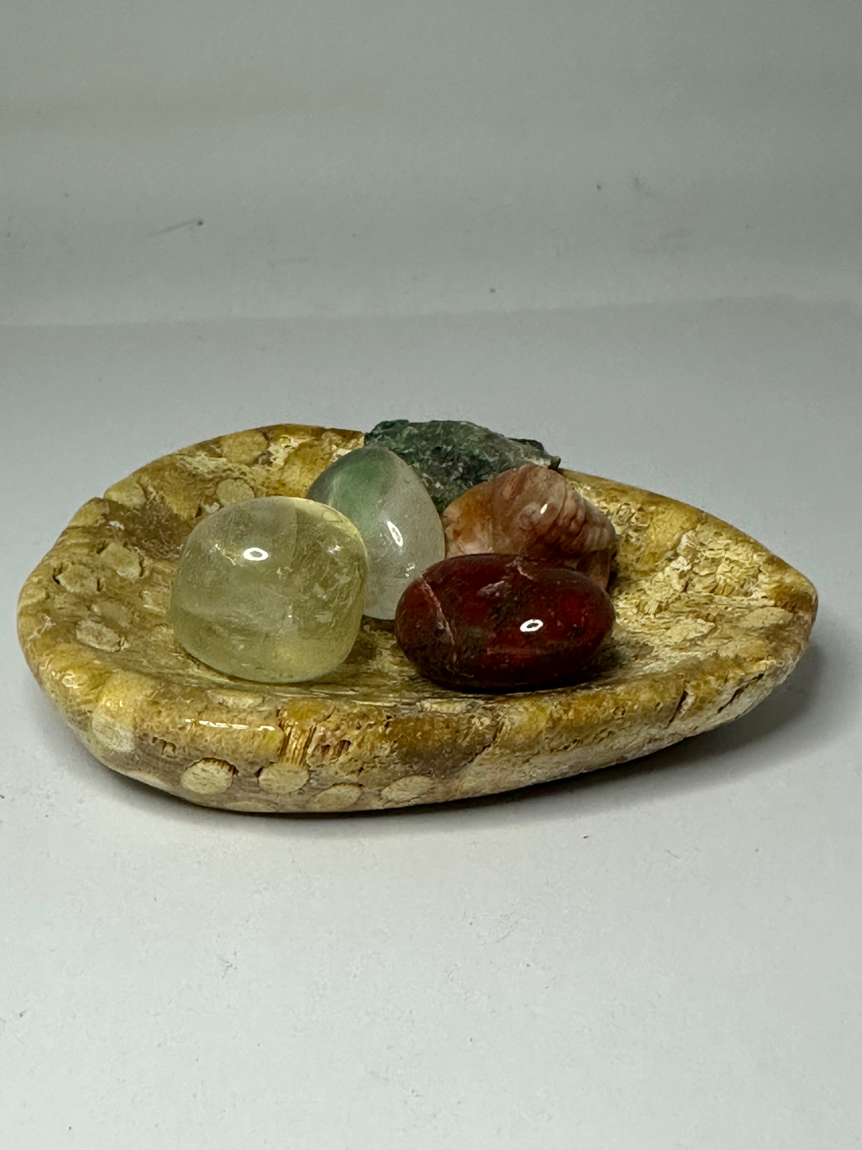Coral bowl