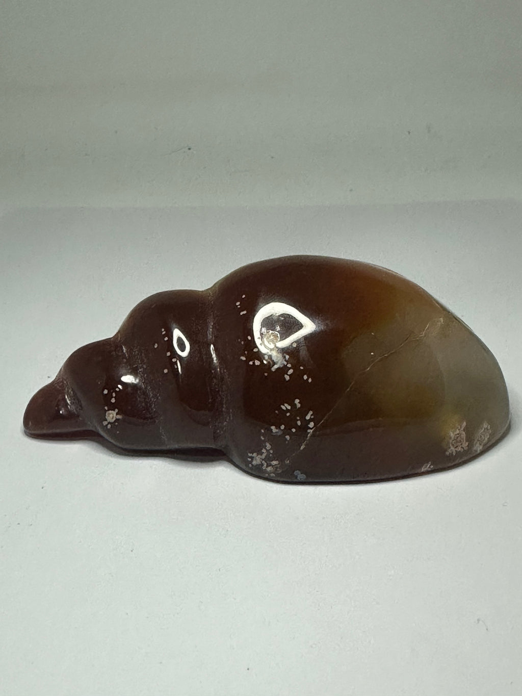 Carnelian Shell Carving with Druzy