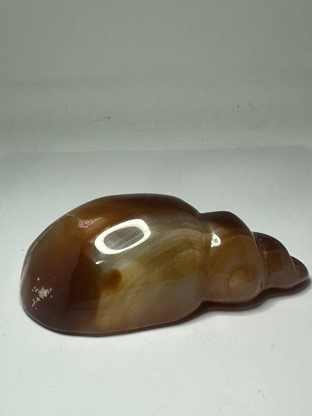 Carnelian Shell Carving with Druzy