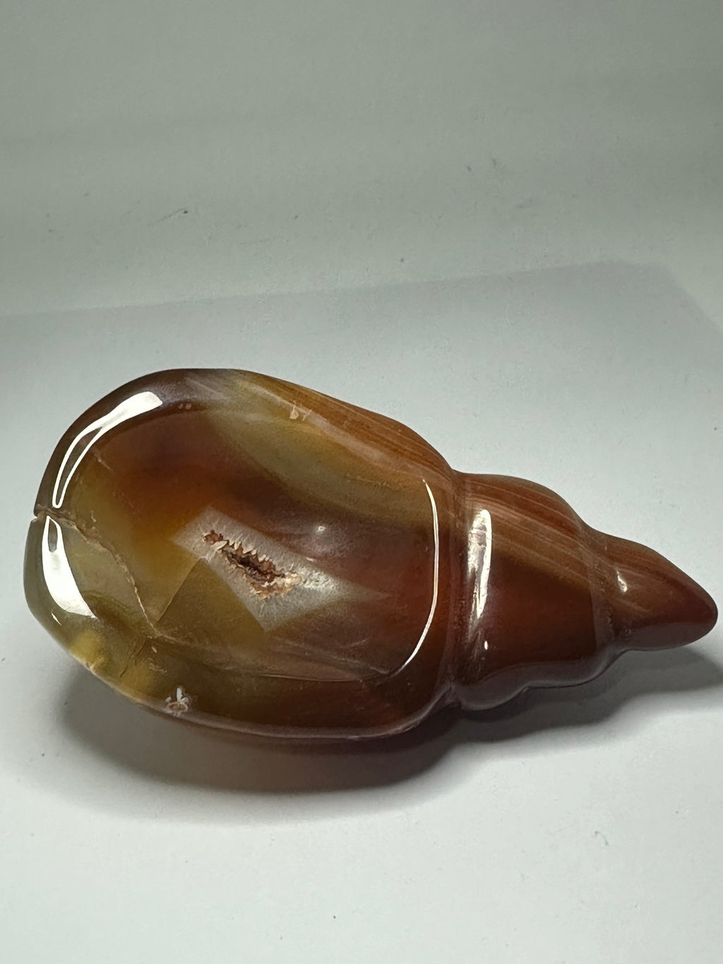 Carnelian Shell Carving with Druzy