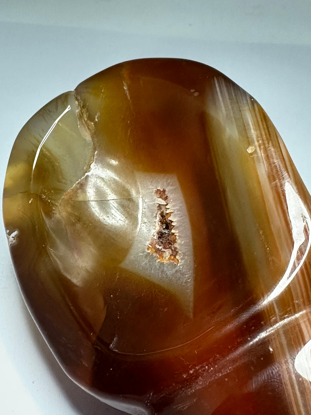 Carnelian Shell Carving with Druzy