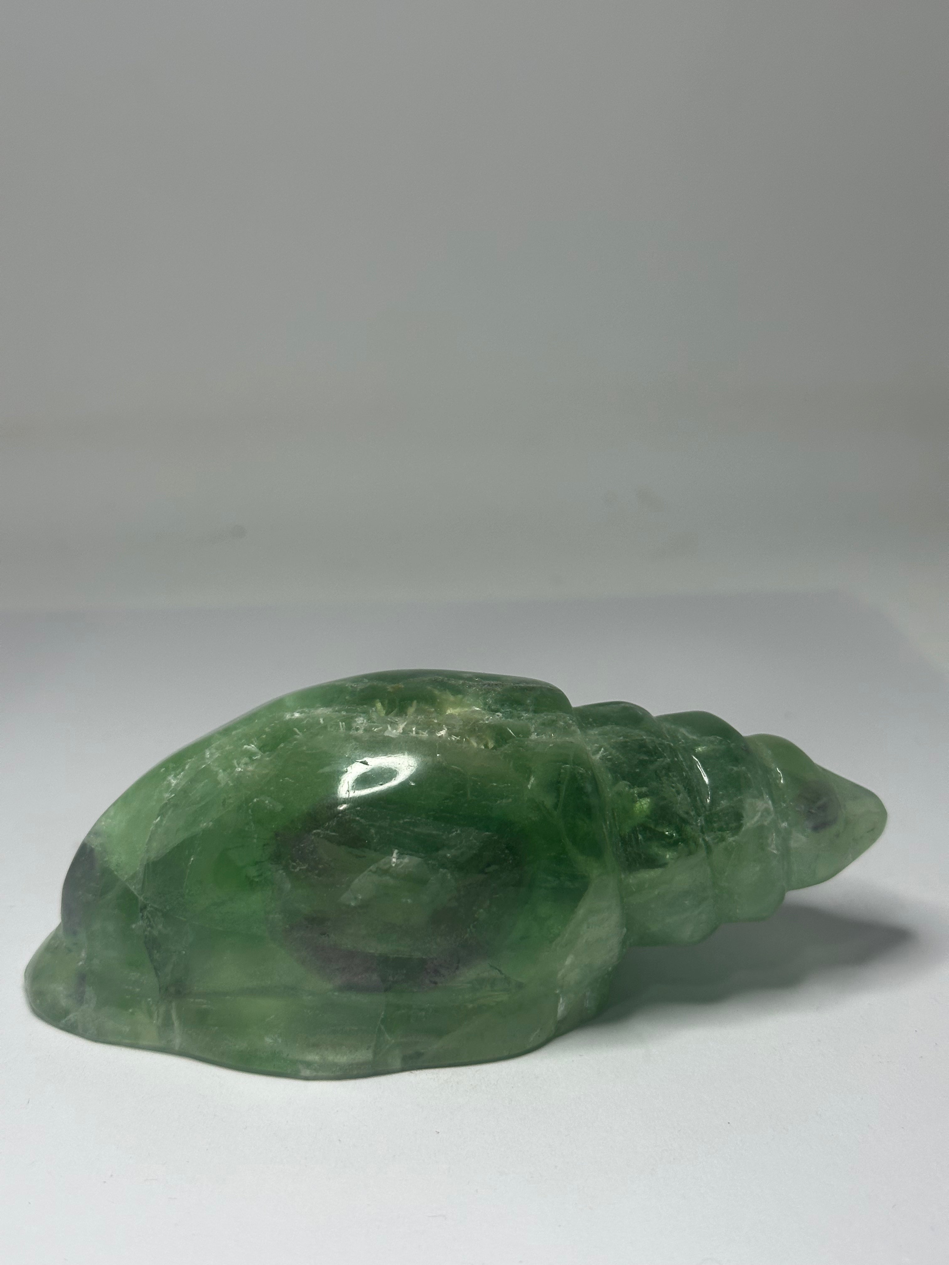 Fluorite Shell Carving – 320g