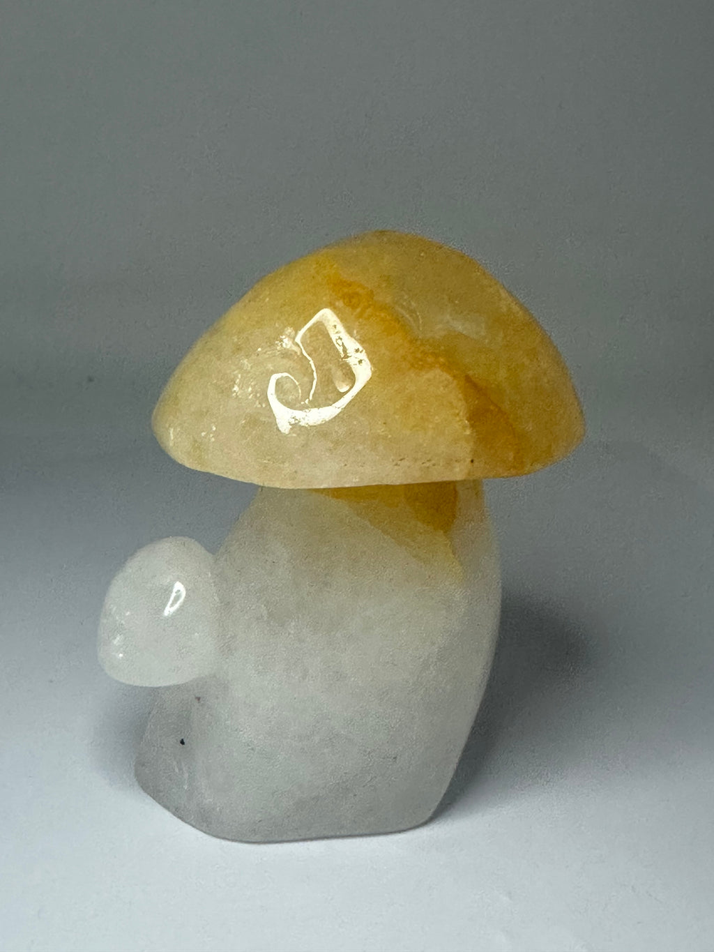 Golden Healer Mushroom Carving – 240g