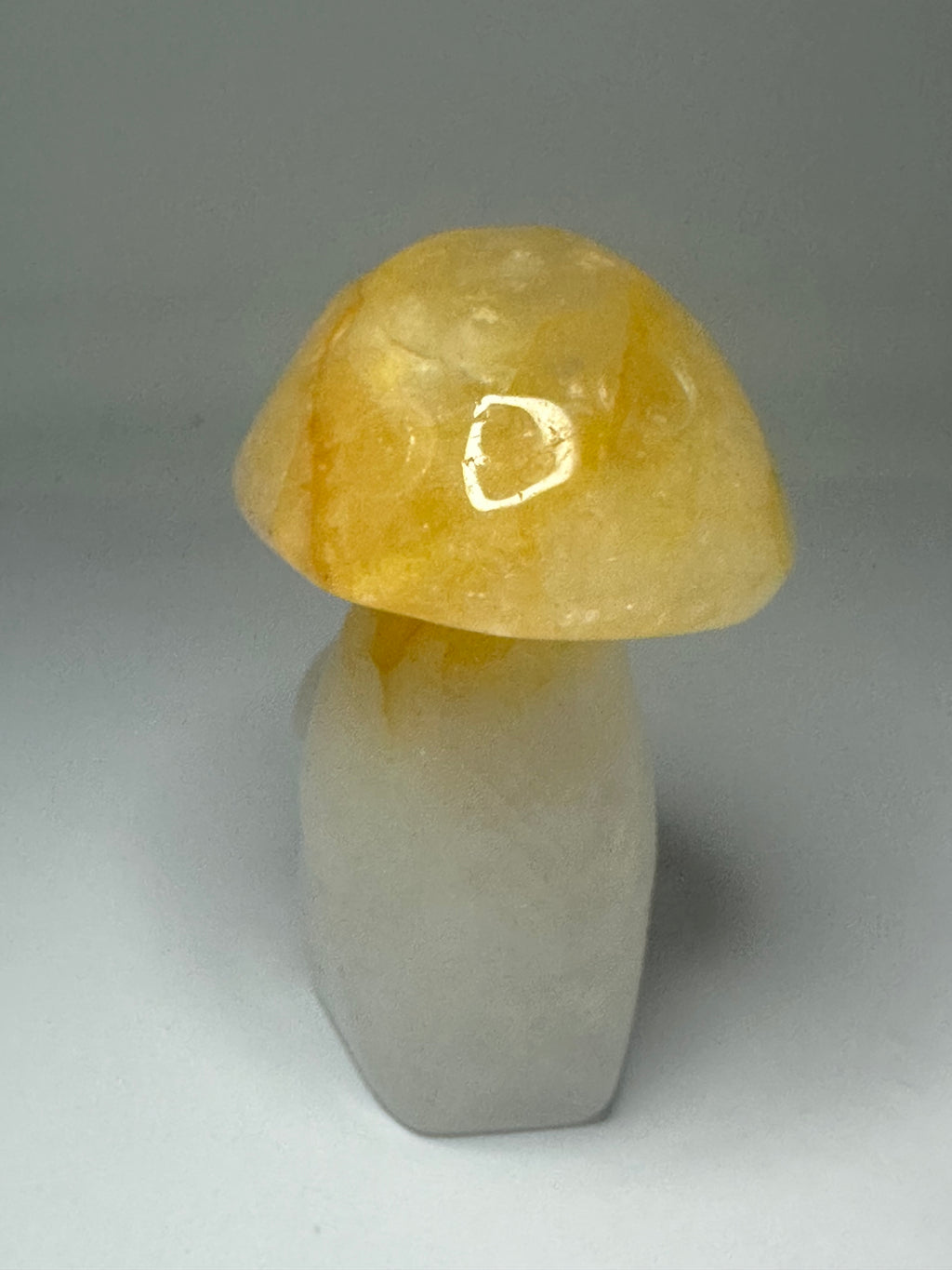 Golden Healer Mushroom Carving – 240g