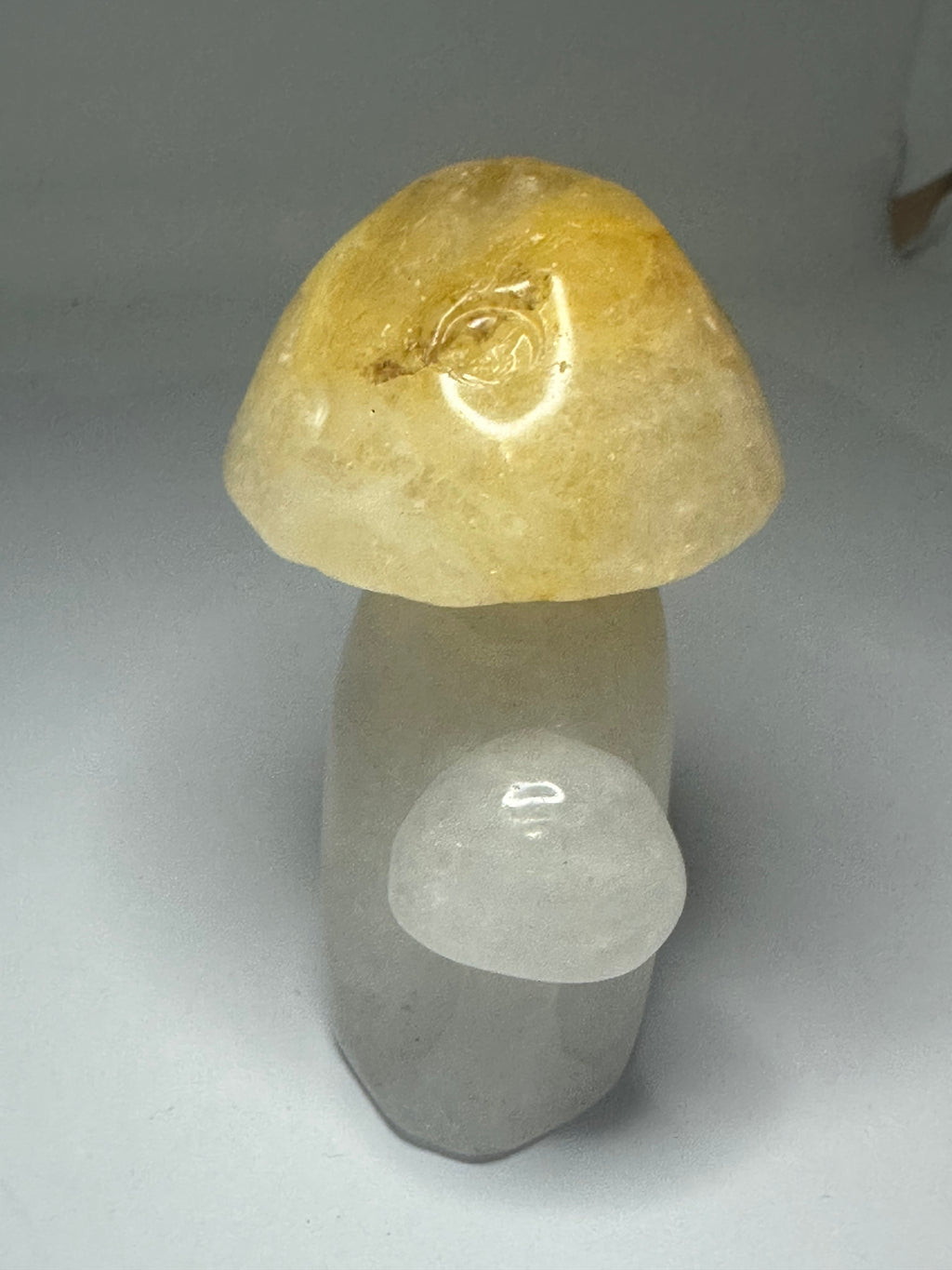 Golden Healer Mushroom Carving – 240g