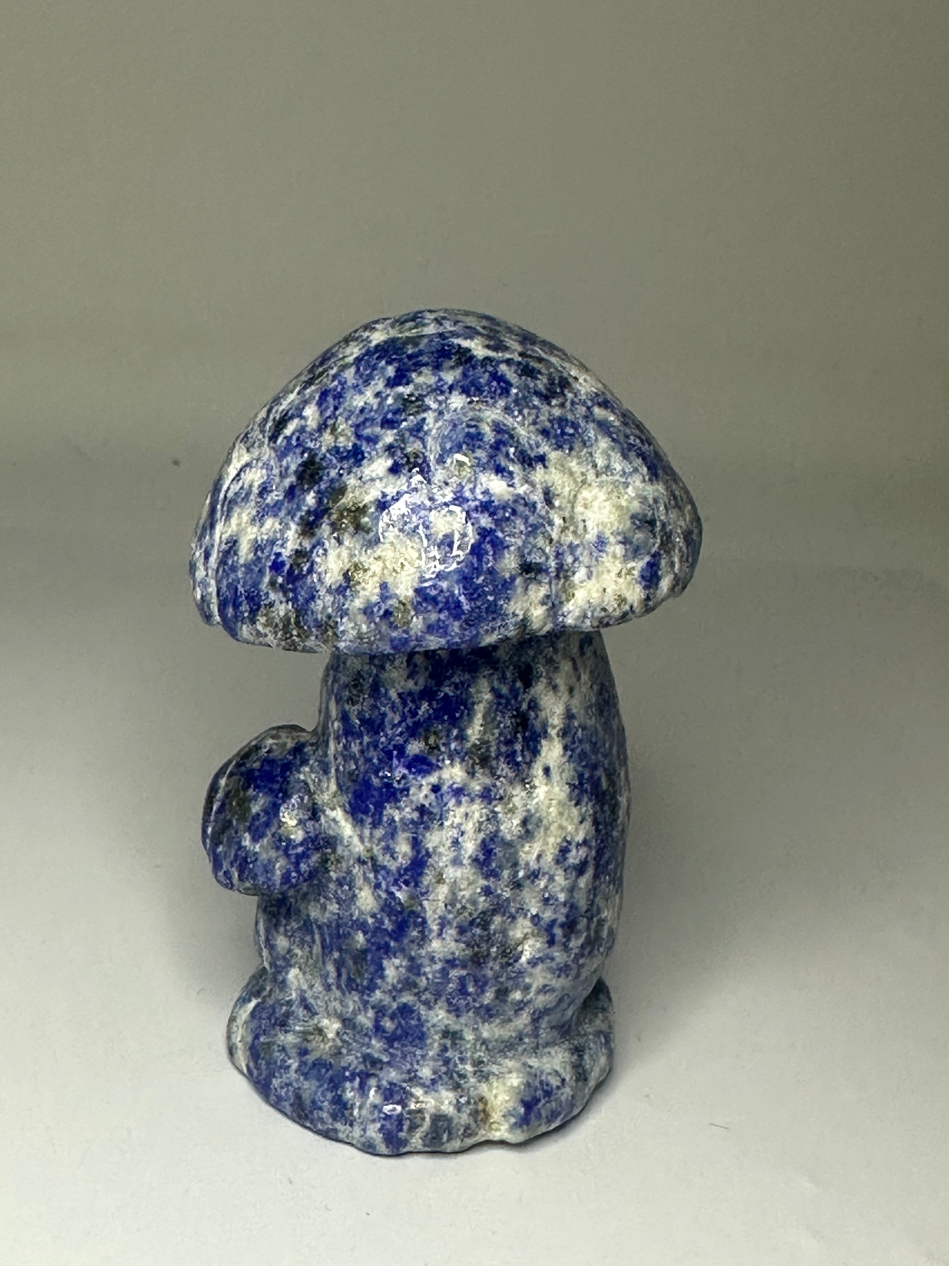 Lapis Lazuli Mushroom Carving – 192g
