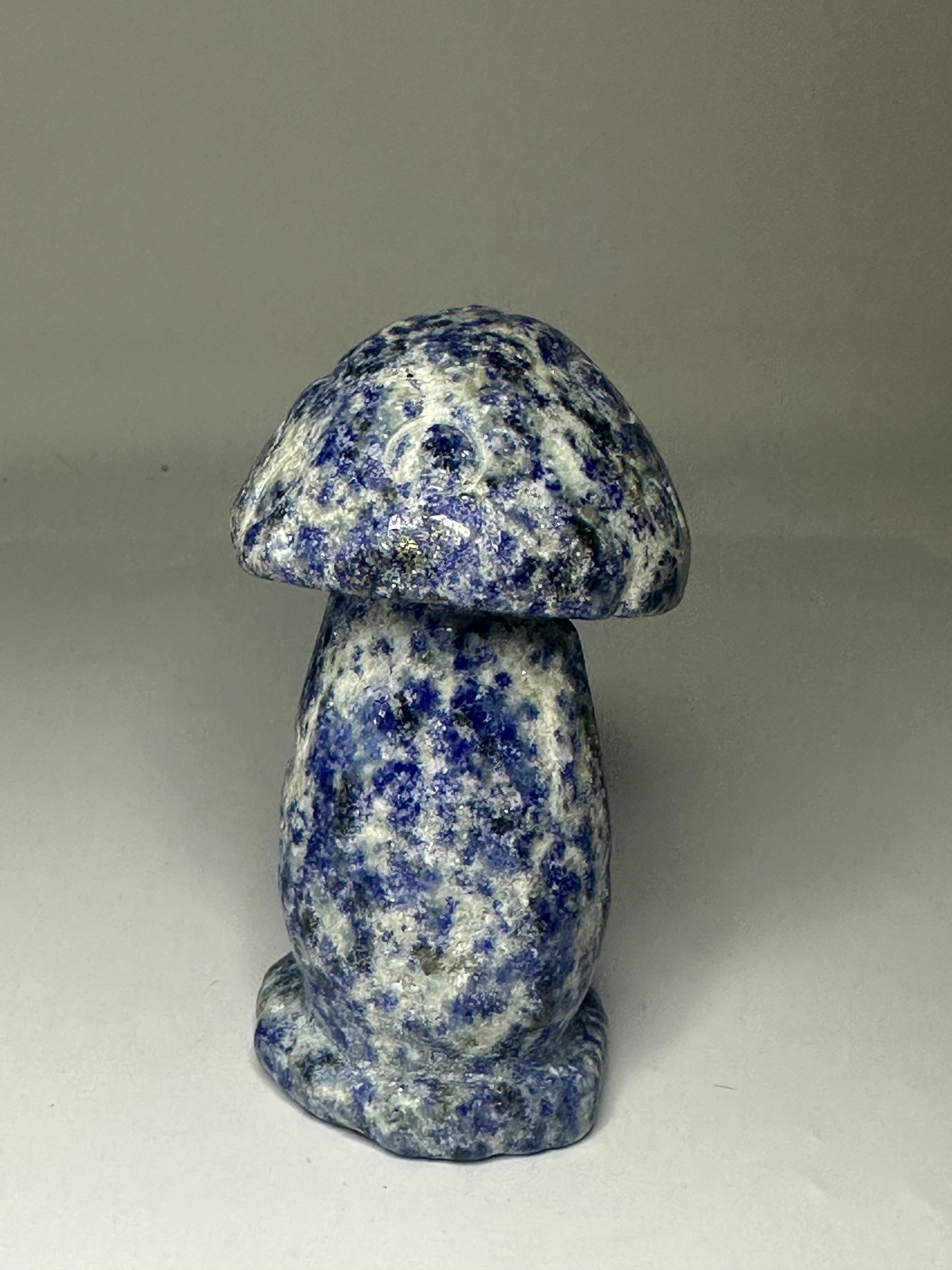 Lapis Lazuli Mushroom Carving – 192g