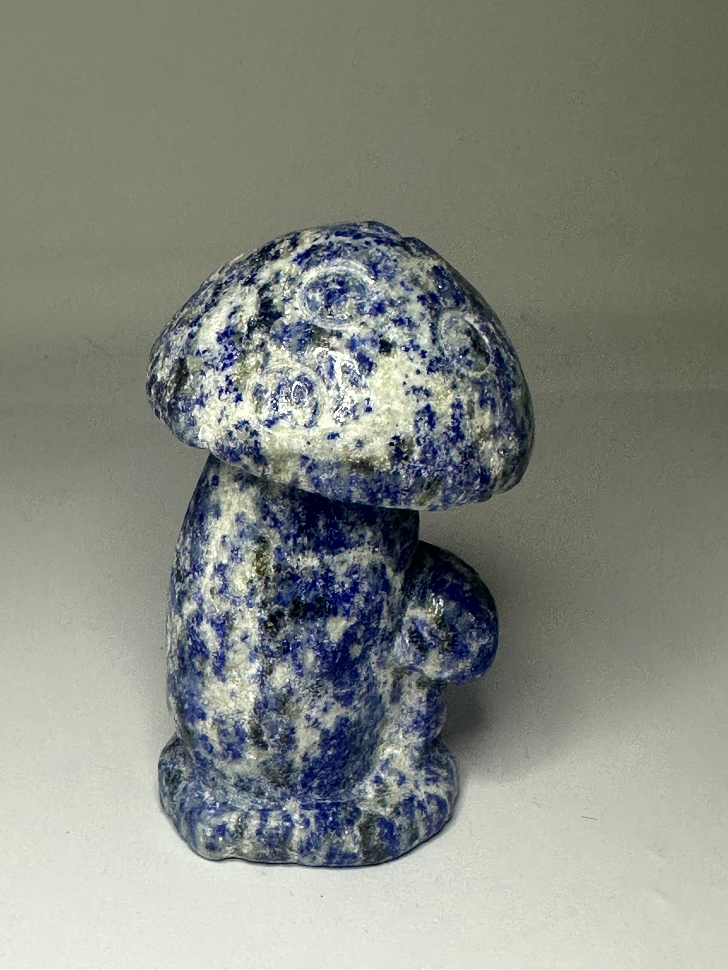 Lapis Lazuli Mushroom Carving – 192g