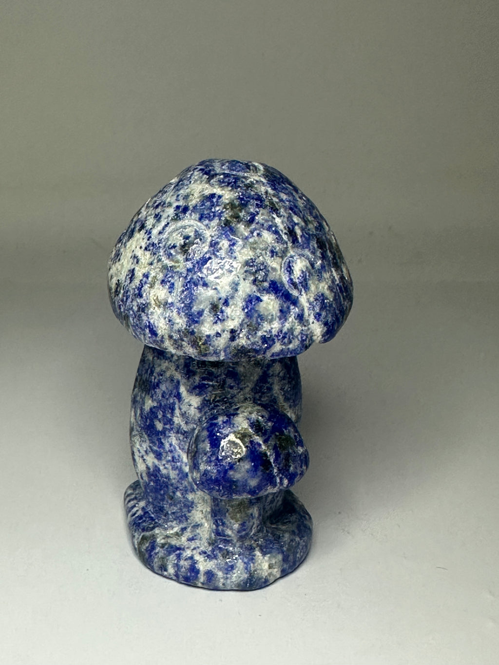 Lapis Lazuli Mushroom Carving – 192g