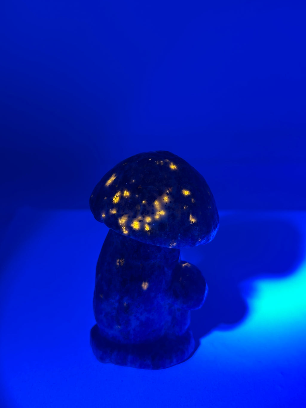Lapis Lazuli Mushroom Carving – 192g