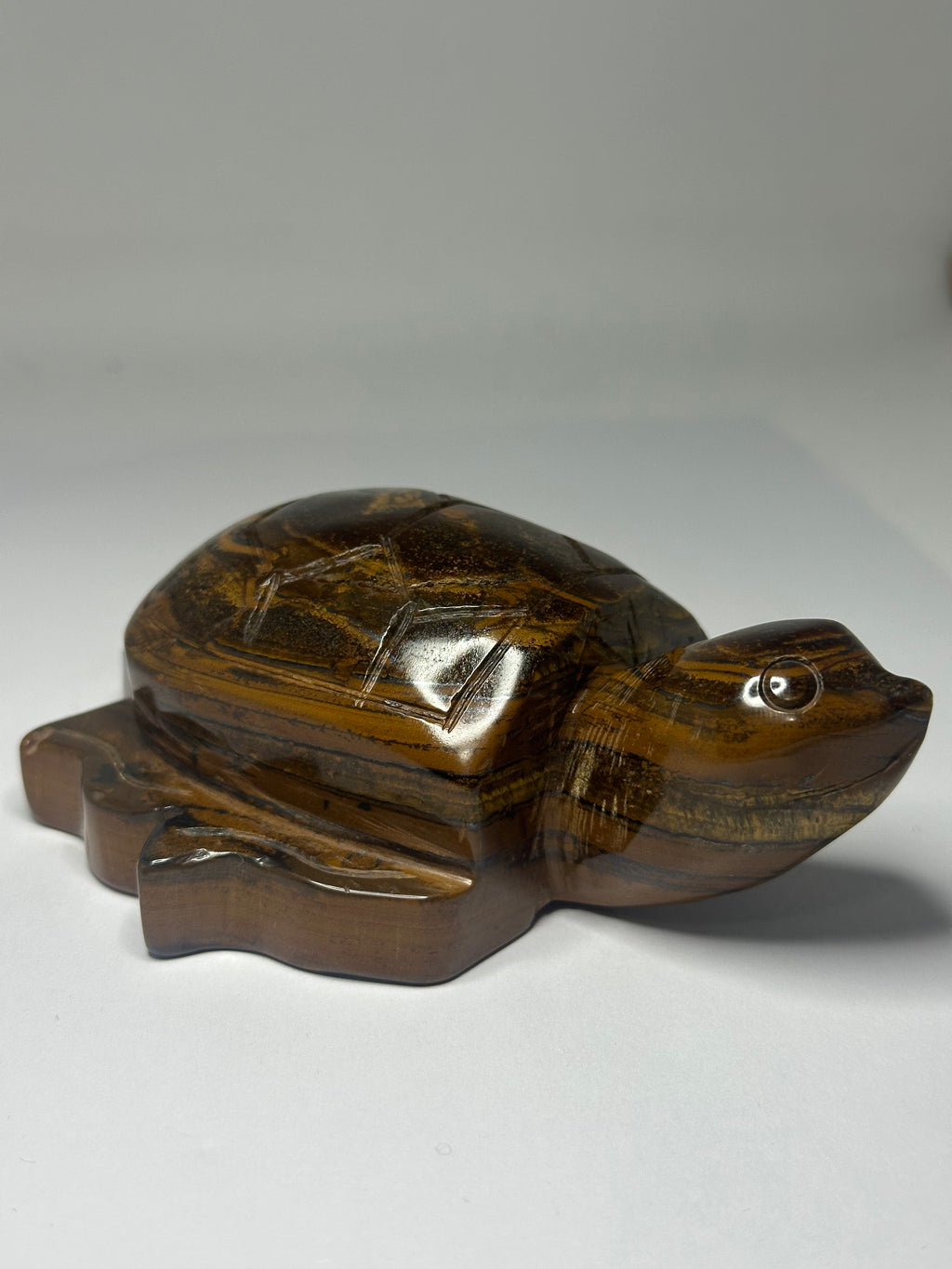 Tiger’s Eye Turtle Carving – 505g