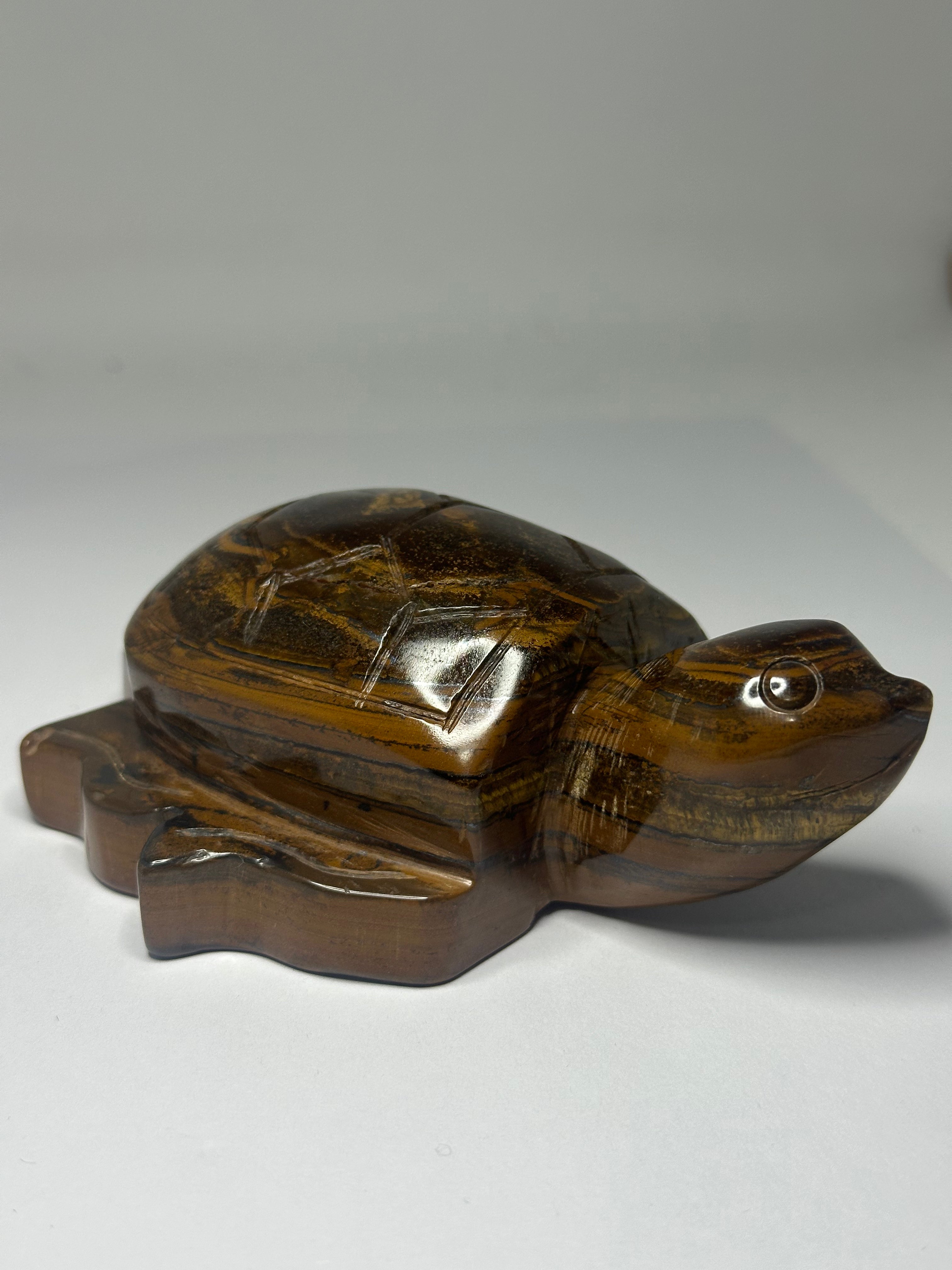 Tiger’s Eye Turtle Carving – 505g