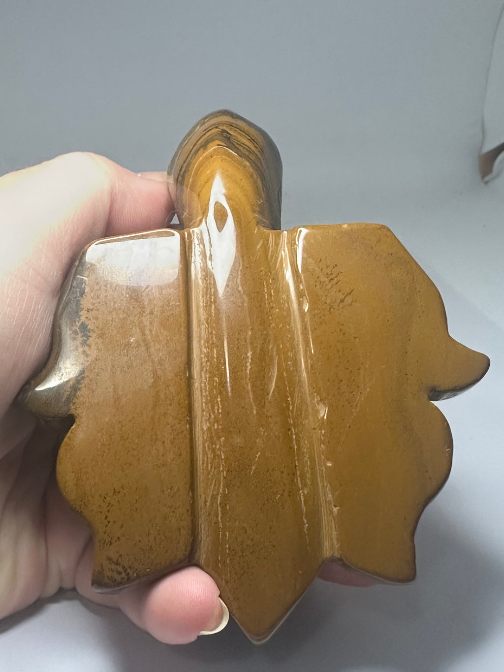 Tiger’s Eye Turtle Carving – 505g