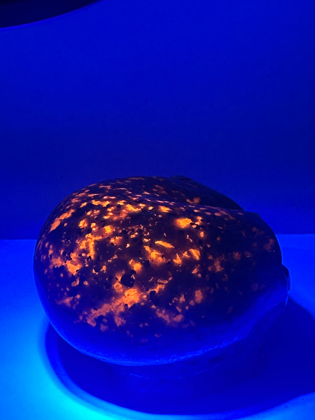 Yooperlite Alien Head Carving with Tiger’s Eye Eyes – 492g