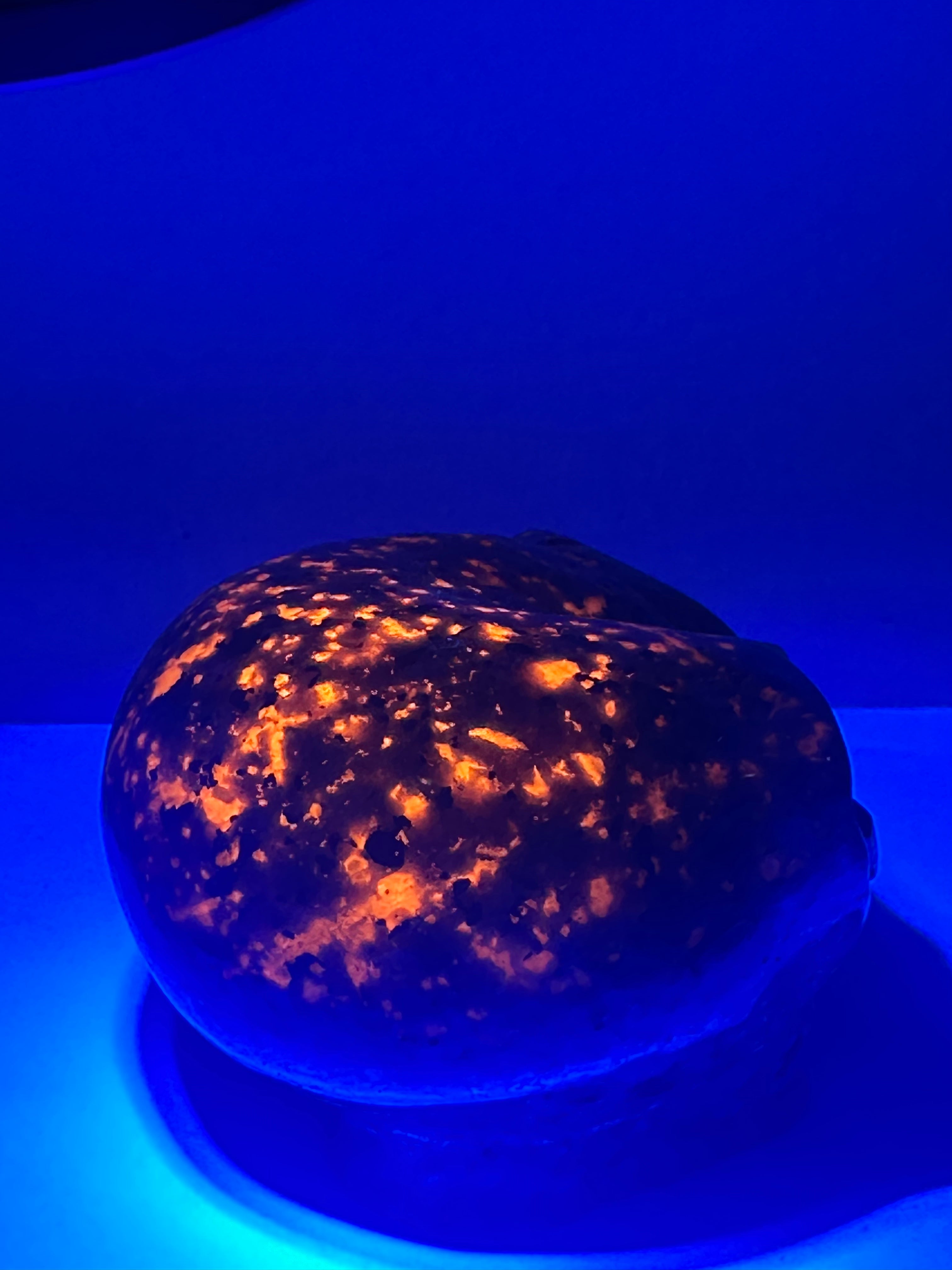 Yooperlite Alien Head Carving with Tiger’s Eye Eyes – 492g