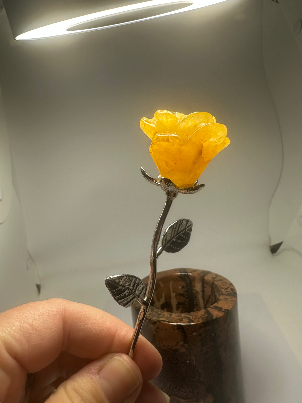 Golden Healer Rose with Silver Metal Stem