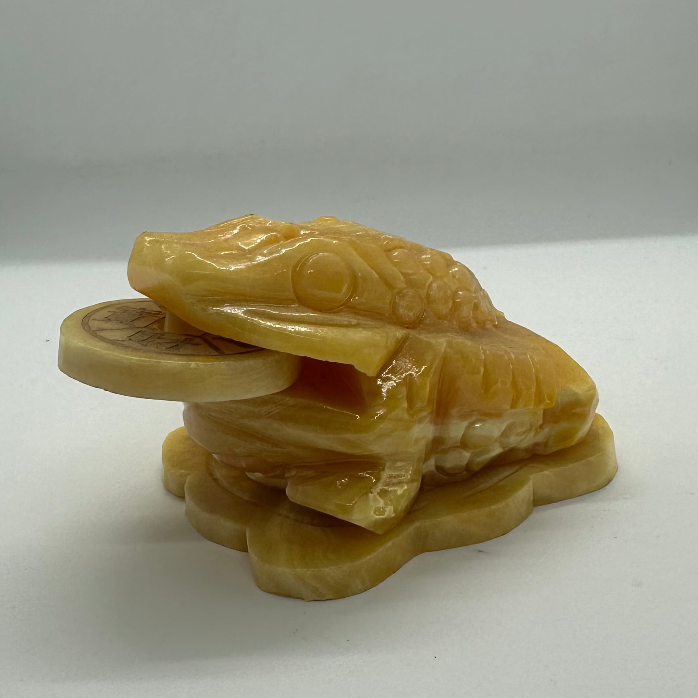 Orange Calcite Money Toad – 572g