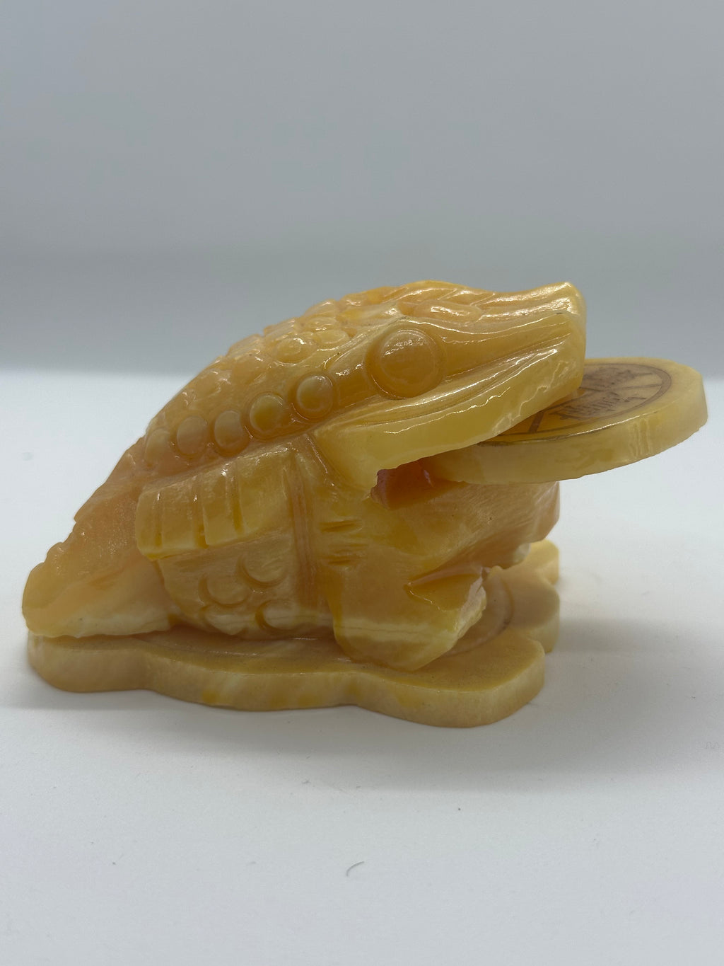 Orange Calcite Money Toad – 572g