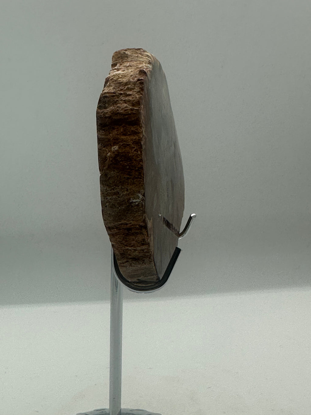 Petrified Wood Slab – 155g